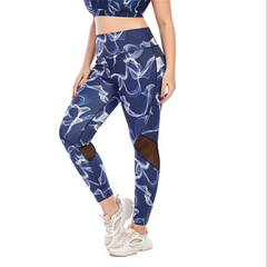 Women's Plus Sportswear
