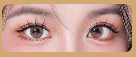Magnetic Lashes